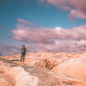 成人在线免费8888www
