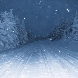 成人在线免费8888www
