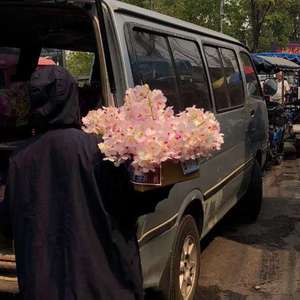 成人在线免费8888www
