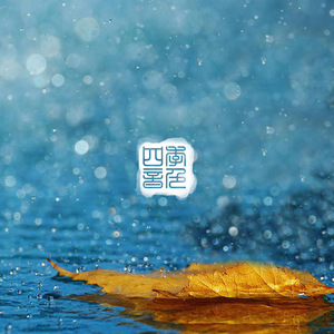 成人在线免费8888www
